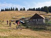 Rumunsko - Apuseni na kole cestou z Padiše na Poiana Calineasa